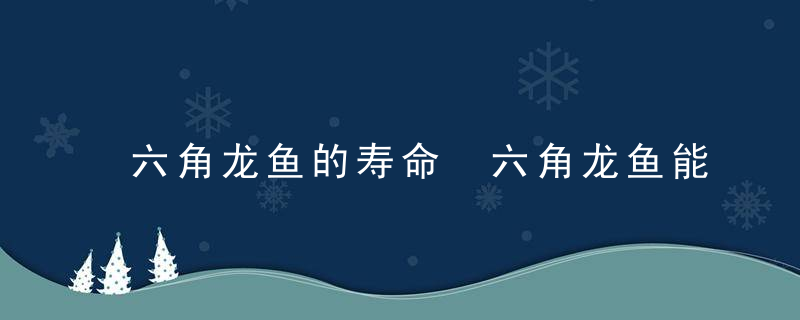 六角龙鱼的寿命 六角龙鱼能活多少年